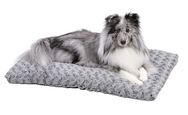 MidWest Homes for Pets Deluxe Dog Bed