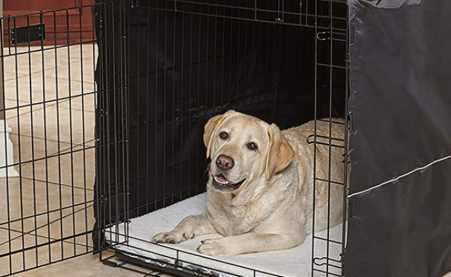 MidWest Homes for Pets Dog Crate Cover
