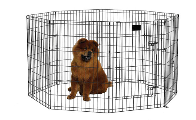 MidWest Homes for Pets Folding Metal Exercise Pen