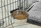 MidWest Homes for Pets Food Bowl