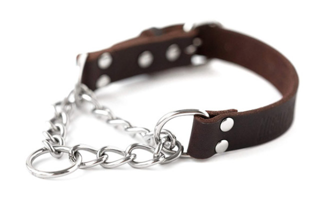 Mighty Paw Leather Training Collar