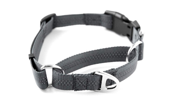 Mighty Paw Martingale Nylon Training Collar