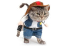 Mikayoo Pet Cowboy Cat Costume