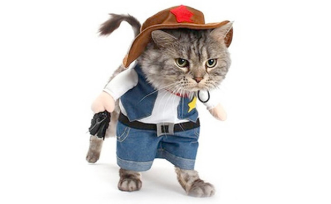 Mikayoo Pet Cowboy Cat Costume