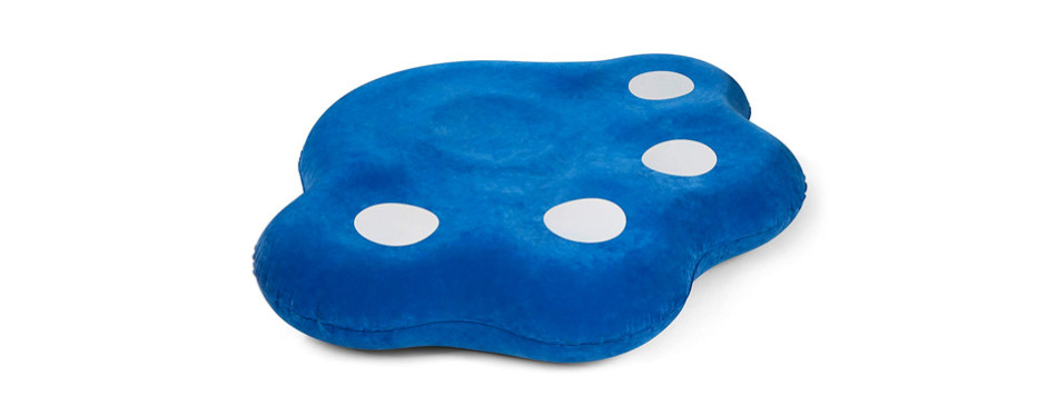 dog friendly floaties