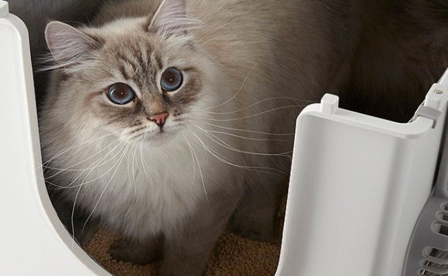 Modkat Flip Litter Box with Scoop