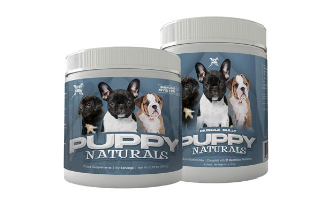 Muscle Bully A Healthy Nutritional Formula for Growing Puppies