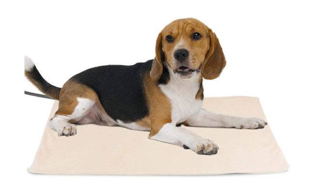 NICREW Pet Heating Pad for Dogs