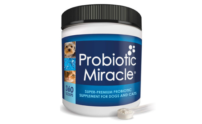NUSENTIA Probiotic Miracle Dog Probiotics