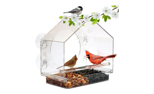 Nature Anywhere Window Bird House Feeder