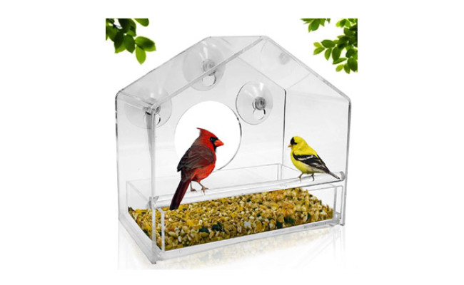 Nature Gear Window Bird Feeder