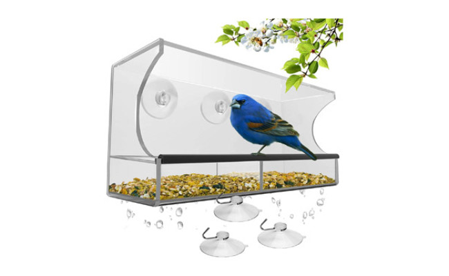 Nature's Hangout Window Bird Feeder