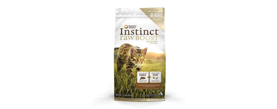 The Best High Calorie Cat Food for Weight Gain (Review) in 2021