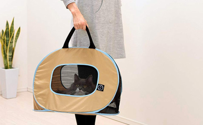 unique pet carriers