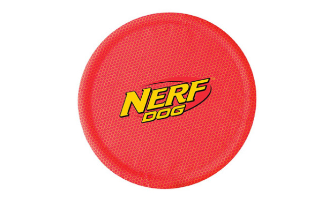 Nerf Dog Nylon Flyer for Dogs