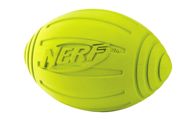 Nerf Dog Squeaker Football