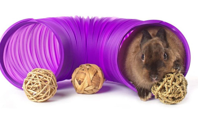 Niteangel Fun Tunnel for Chinchillas