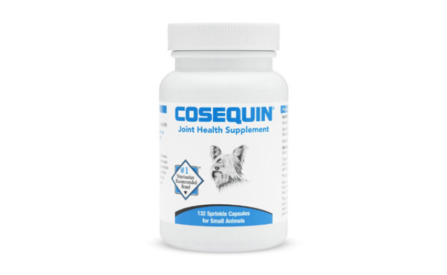 Nutramax Cosequin Regular Strength Capsules Joint Supplement