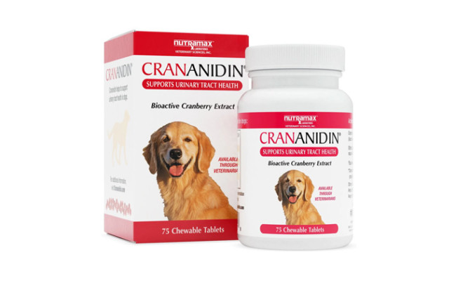 Nutramax Crananidin Chewable Tablets Urinary Supplement for Dogs