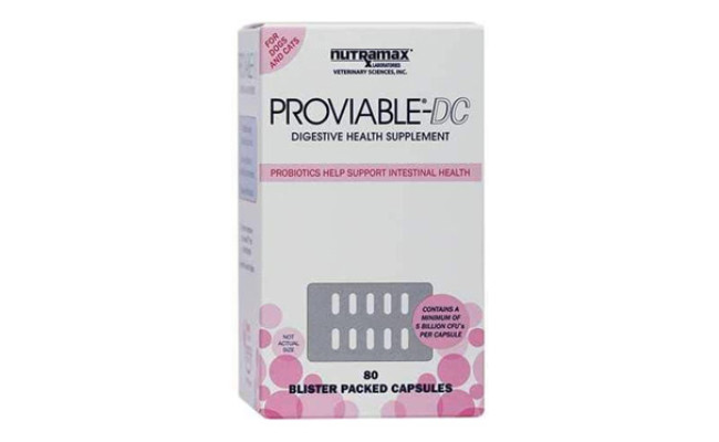 nutramax probiotics