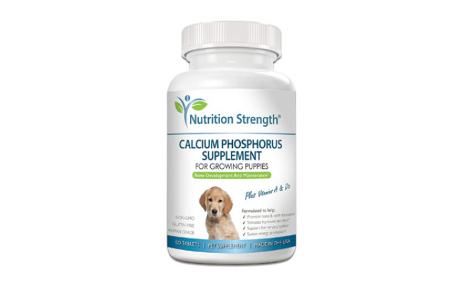 Nutrition Strength Calcium Phosphorus for Dogs Supplement