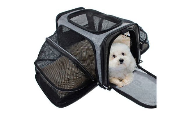 The Best Motorcycle Dog Carriers Review In 2021 My Pet Needs That