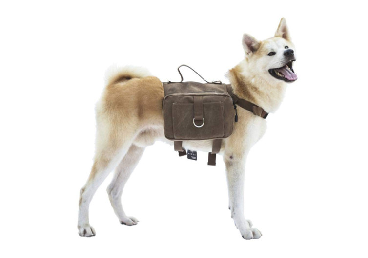 OneTigris-Dog-Backpack-2