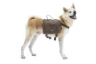 OneTigris Dog Backpack