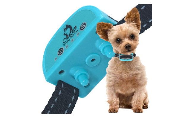 best bark control for small dogs