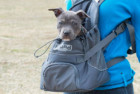 Outward Hound Motorcycle Dog Carrier