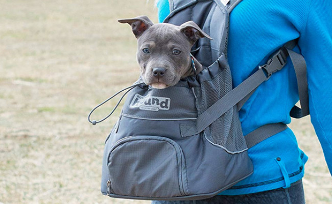 dog holder for motorcycle