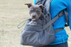 Outward Hound PoochPouch Front Carrier For Dogs