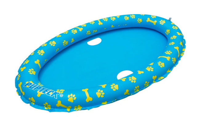 dog swim float