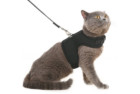 PUPTECK Escape Proof Cat Harness