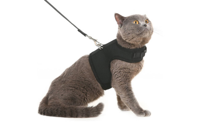 PUPTECK Escape Proof Cat Harness