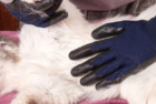 Pat Your Pet Grooming Gloves