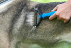 Pat Your Pet Safe Dematting Comb