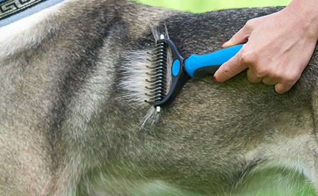Pat Your Pet Safe Dematting Comb