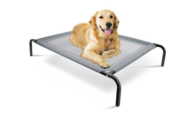 best dog bed for aggressive chewers