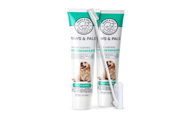 Paws & Pals Dog Toothbrush