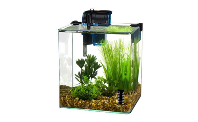 Penn-Plax Water-Word Vertex Desktop Aquarium Kit