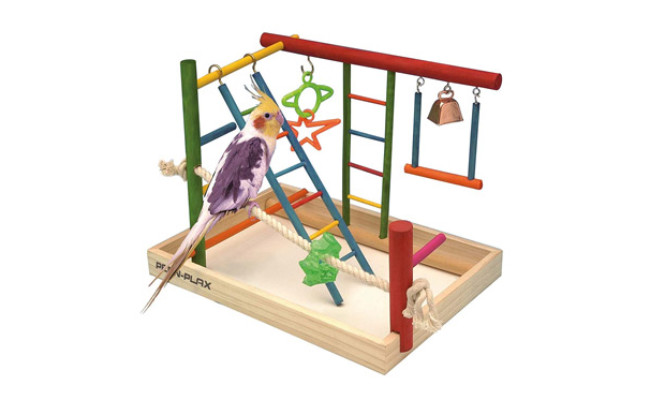 Penn Plax Wood Bird Playpen