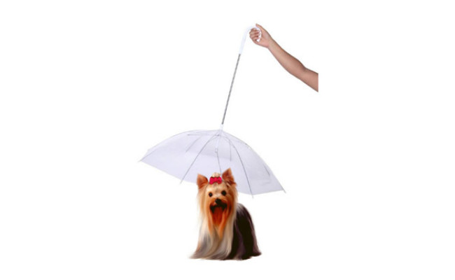 Perfect Life Ideas Dog Umbrella