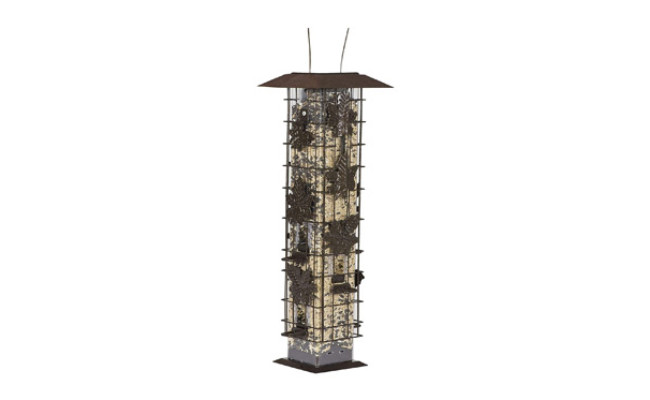 Perky-Pet Squirrel-Be-Gone Wild Bird Feeder