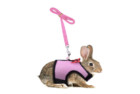 Persuper Soft Mesh Rabbit Harness