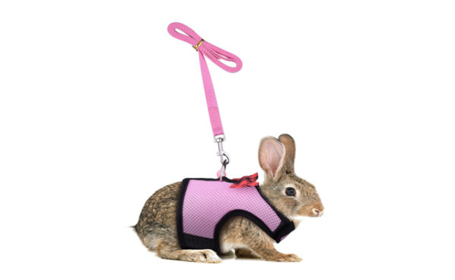 Persuper Soft Mesh Rabbit Harness