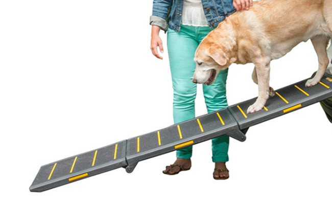 Pet Gear Portable Dog Ramp