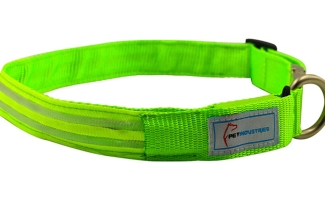 Pet Industries Metal Buckle LED Dog Collar