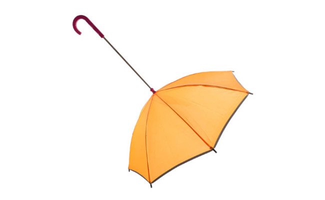 Pet Life Pour-Protection Umbrella