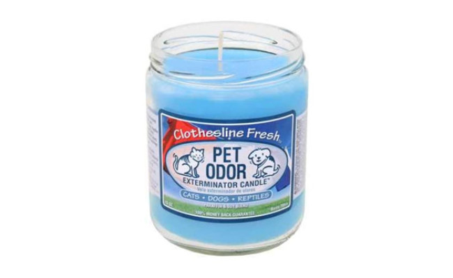 Pet Odor Exterminator Candle